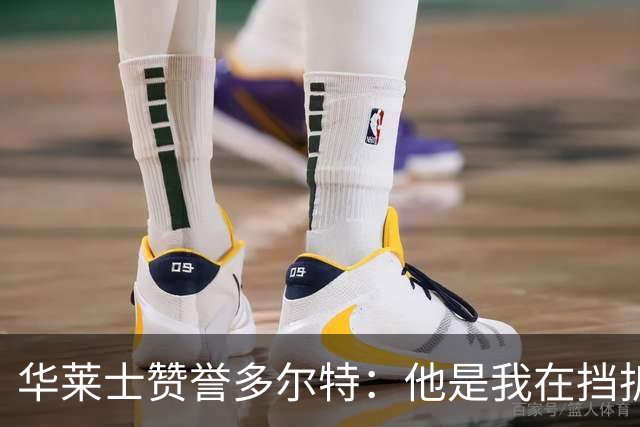 华莱士赞誉多尔特：他是我在挡拆技巧上的最佳导师